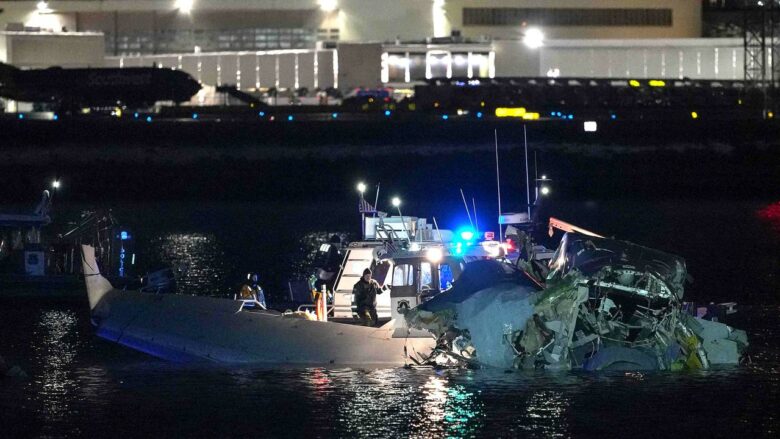 Tragikuno ovipe ani Amerika