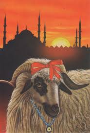 BIK-u shrdinla o kedipe e porosiengo vash o Kurbayna, e cena 180 euro