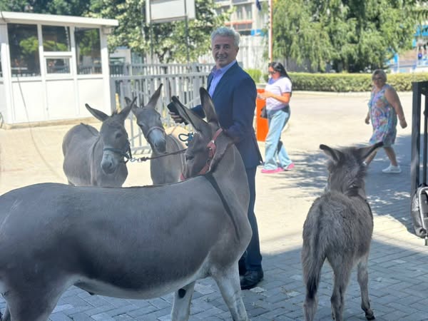 Arianit Koci protestinla magarencar angli Kupatni