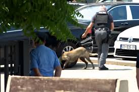 Darakeripe kotar e Bomba ano Parlamenti: Origina kotar e Serbia, institucie reaguinde sig